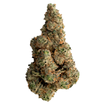 The Loud Plug - With Love from Scarborough - Craft Collective - Hybrid - 7g